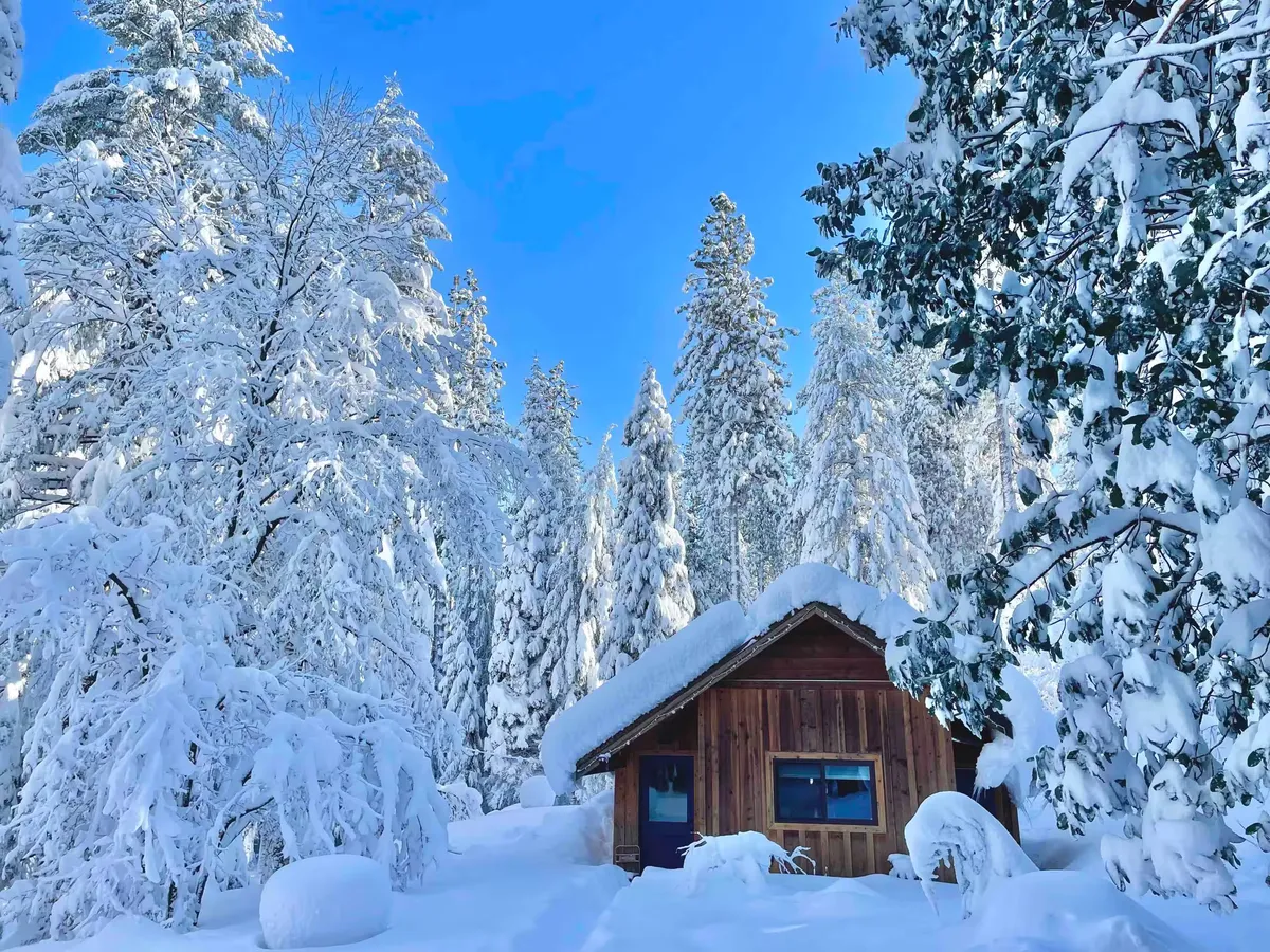The cabin under deep snow among snow-laden firs and a bright blue sky